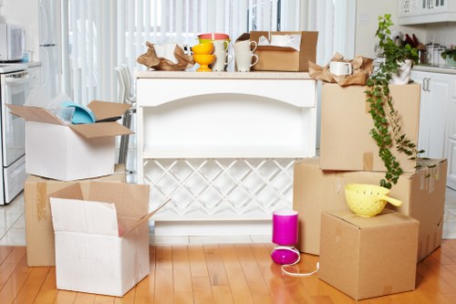 Professional movers loading boxes during an urgent move in Denmark