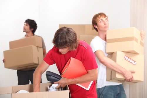 Moving boxes and organized relocation support in Denmark