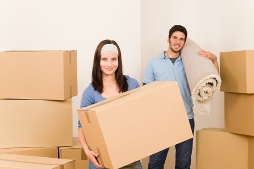 Professional van relocation support in Denmark