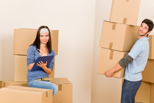 SSL protected Denmark Removals payment process in the middle step